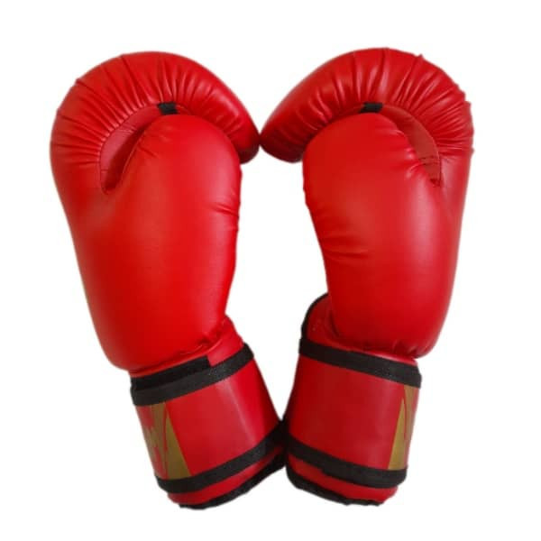 دستکش بوکس مدل PRO GEAR 2020