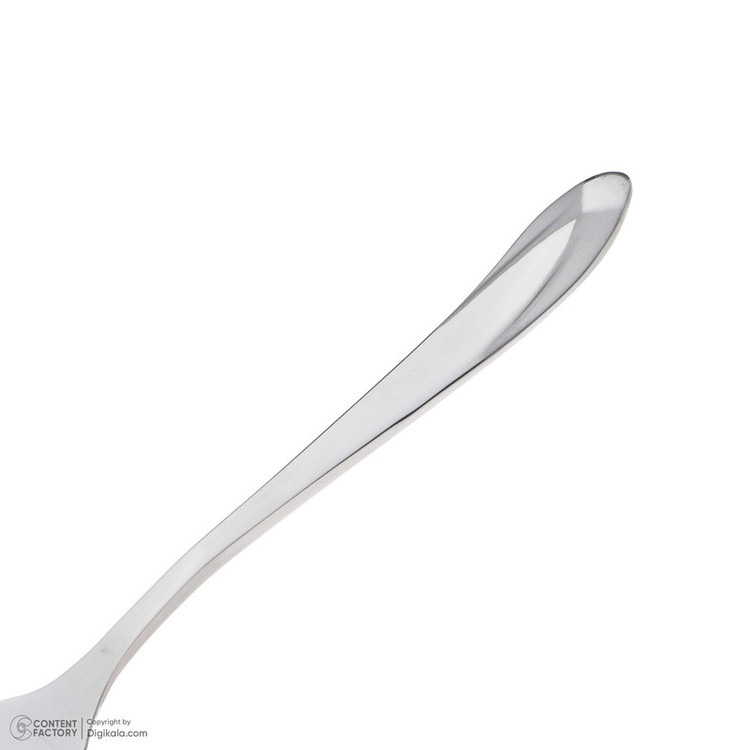 قاشق چایخوری امجیاس مدل 020s مجموعه 12 عددی